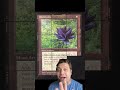 The true story behind the rarest black lotus ever… #magicthegathering #mtg #mtgcommander #gencon