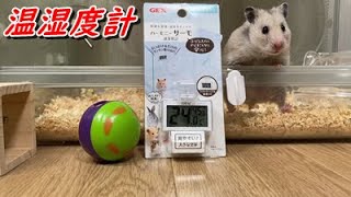 【ハムスター新商品】夏も冬も温度、湿度計測、快適な環境を作ってあげましょう！Hamster