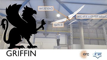 Why fly blind? Event based visual guidance for ornithopter robot flight