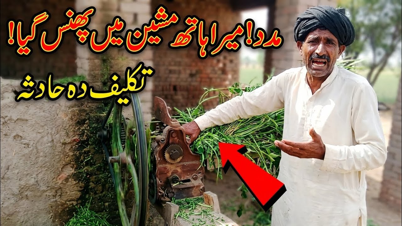 Punjabi Village Life | Man Cutting Animal Fodder | Beautiful Punjabi Culture@Culture16g 