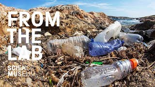 This Plastic-Eating Enzyme Could Save Our Planet