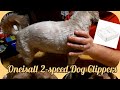 Vlogmas 2020 Day 29 | Product Review for Oneisall 2-speed Low Noise Cordless Dog Clippers 🐶🐾🐶
