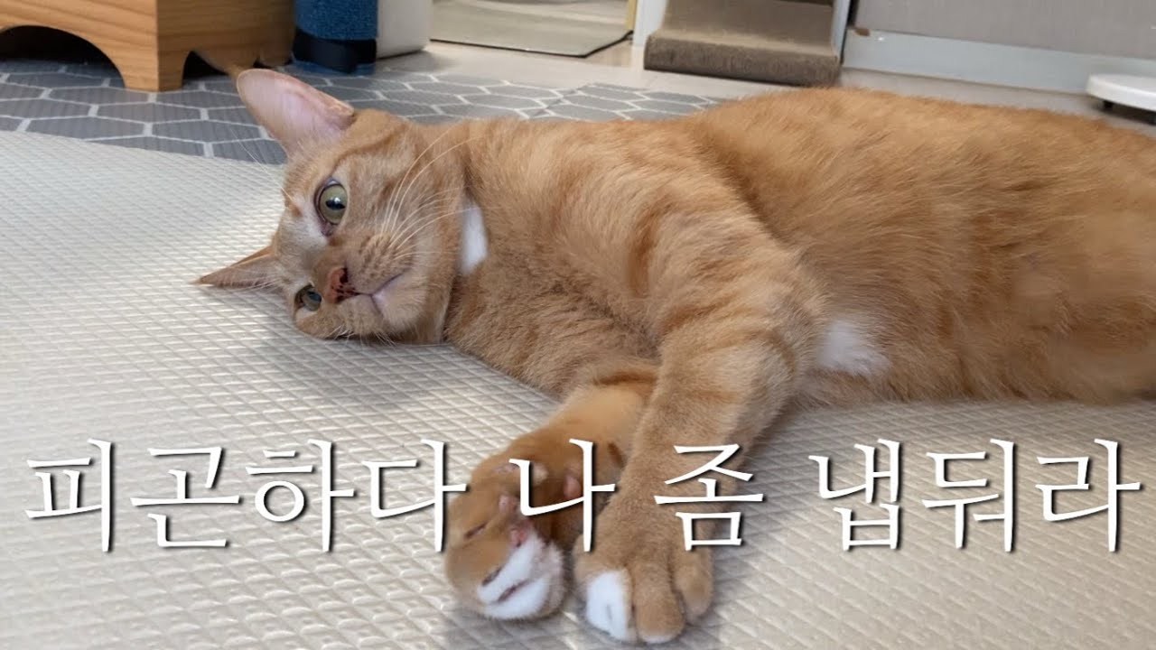 아 쫌 내비두라고 - YouTube