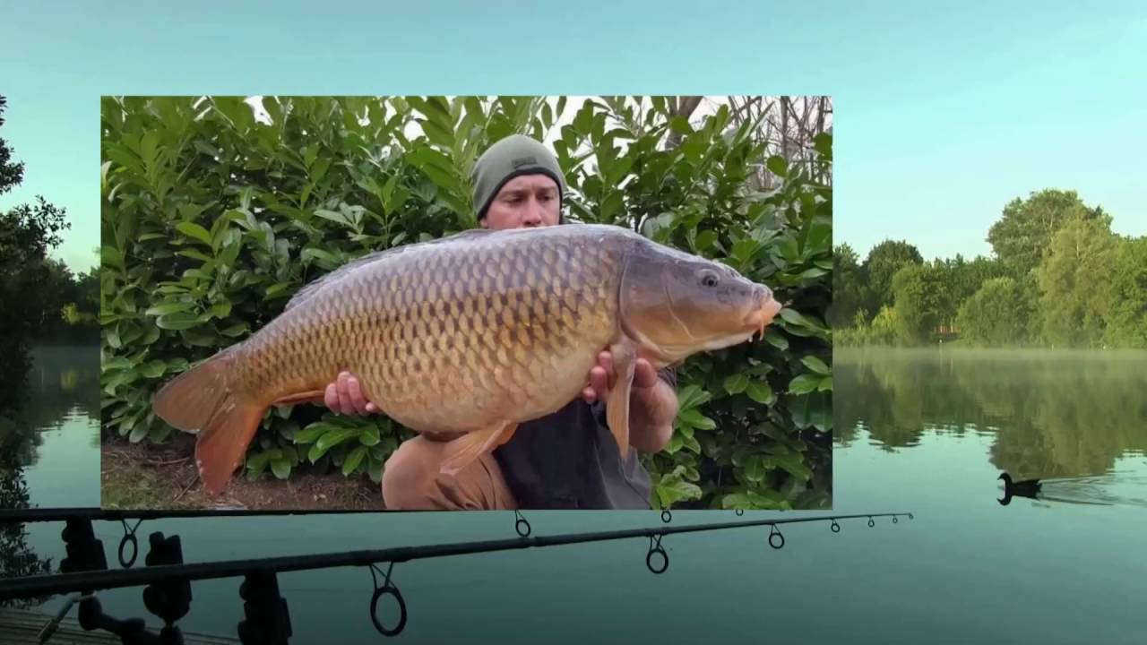 CHERRY LAKE Mike Interview 1