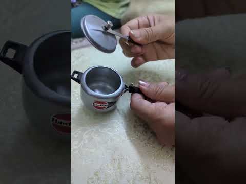 Vídeo: Teteres de luxe com a regal