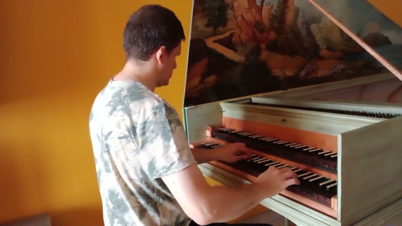 J. S. Bach - Courante - French Suite no. 1 in D Minor - Dancing with melancoly