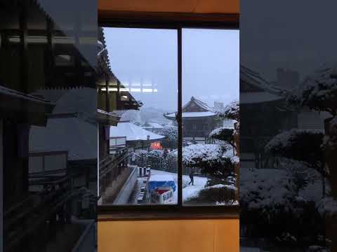 Narita san Shinshoji temple.. ❄️❄️🙏 #beautiful #japan #short #viral #nature #snow