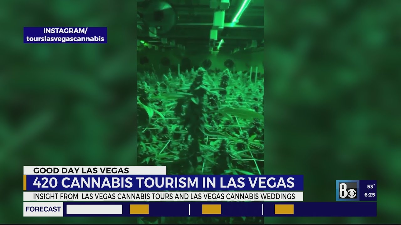 4/20 Cannabis tourism in Las Vegas