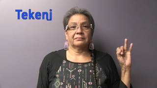 Oneida Sign Language Numbers 1 - 10