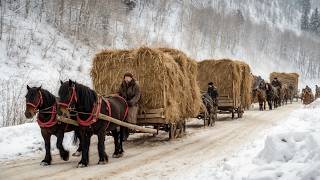 This Movie Changed Everything 💥😮 | Watch This Epic Drama Before It's Taken Down