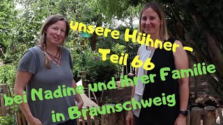 Teil 66: bei Nadine, ihrer Familie und ihren Orpingtons in Braunschweig