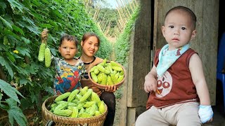 single girl ; Harvest the bitter melon garden and sell it at the market - Cook with your baby