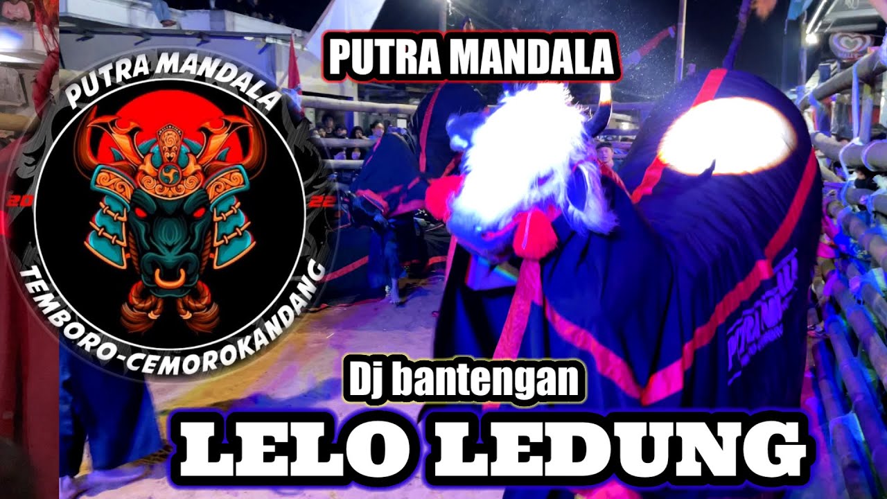 DJ BANTENGAN || LELO LEDUNG || PUTRA MANDALA live temboro - cemorokandang