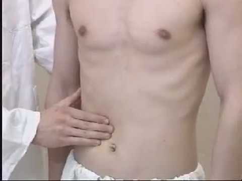 65 男性生殖器查体录像 华西医学中心 诊断学  Male Genital Examination