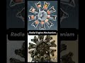 How a Radial Engine Actually Works! 🤯 (3D vs. Reality) #Shorts