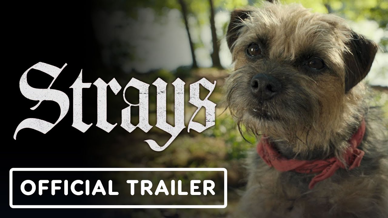Strays: Release date, trailer, cast, plot, and more - Dexerto