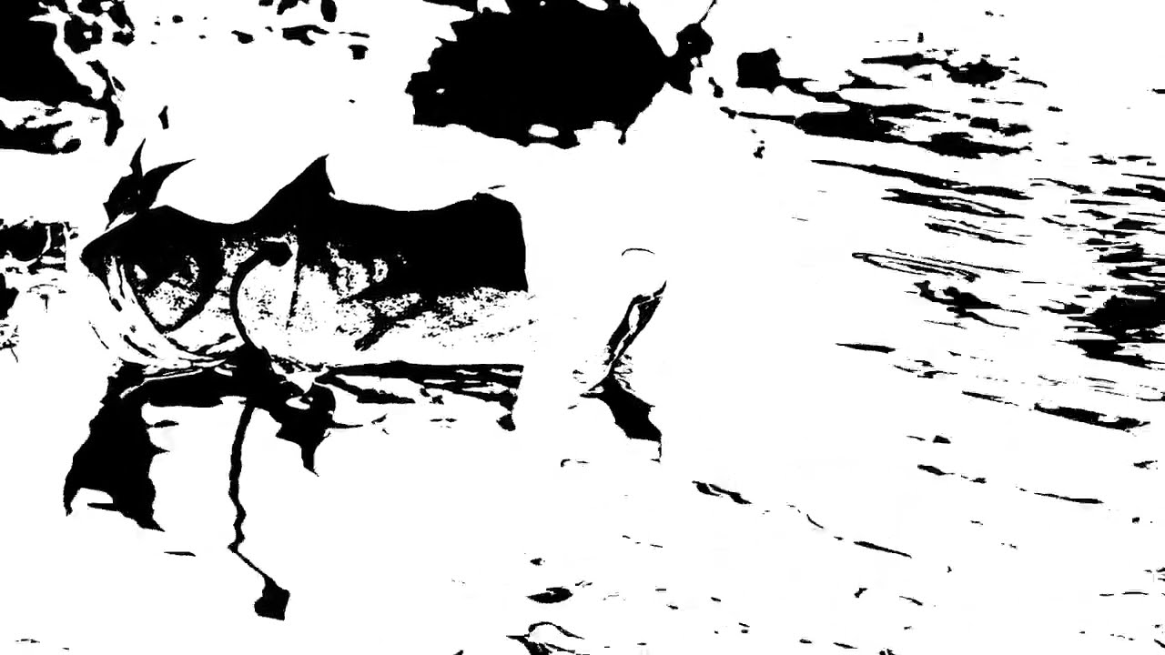 Watch Fear that never takes form | Freakyfishthing on YouTube Watch Fear that never takes form | Freakyfishthing on YouTube