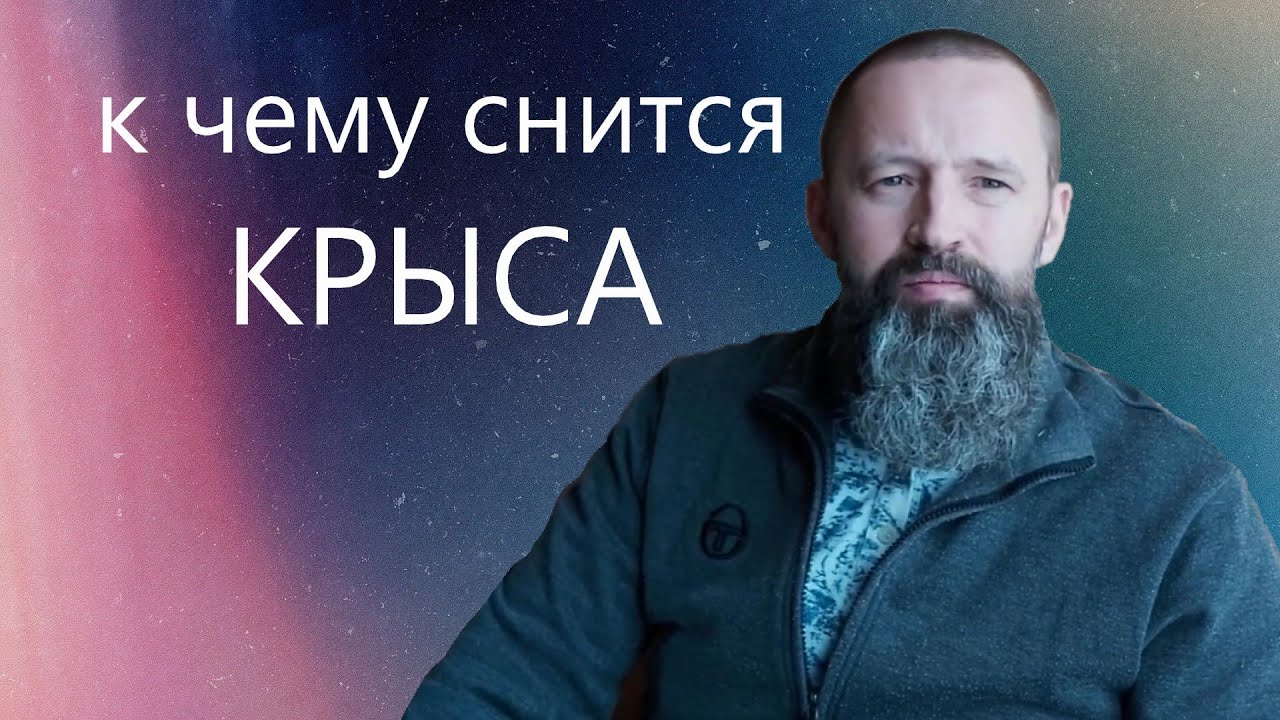 К чему снится КРЫСА.