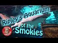 Ripley’s Aquarium of the Smokies