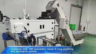 Customer site: VBP automatic visual O-ring counting and packaging system
