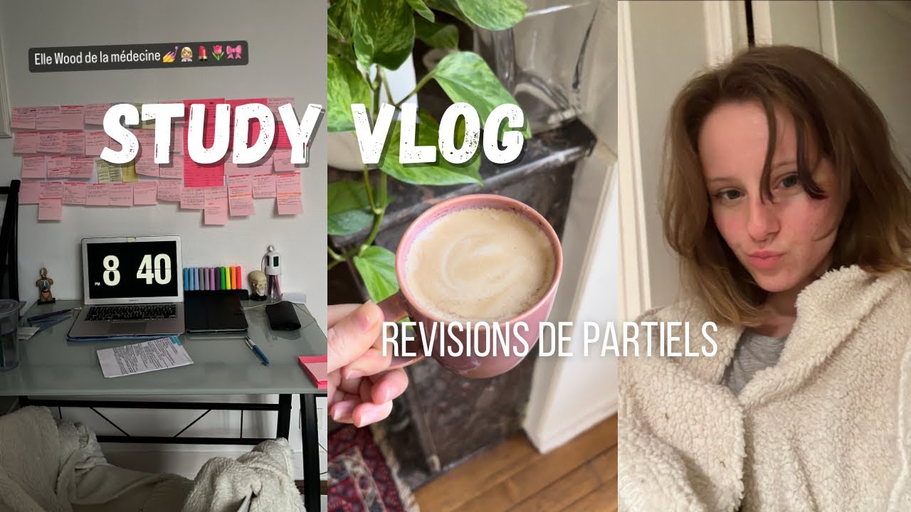 Study Vlog : on se motive ensemble à réviser les partiels 📚🩺 - YouTube