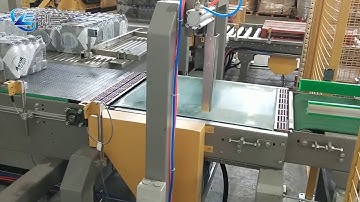 Gantry palletizer for shrink film packs