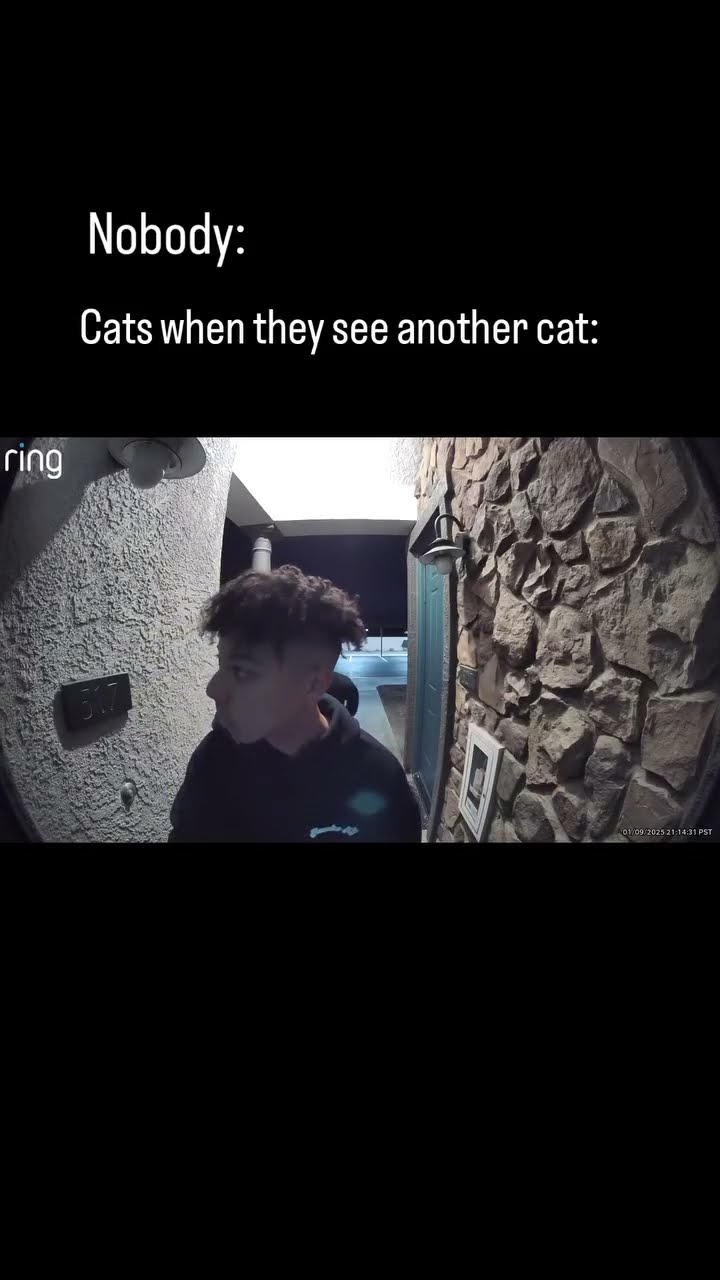 Prvnci is really sending a reminder they top Kittyo they like who is this