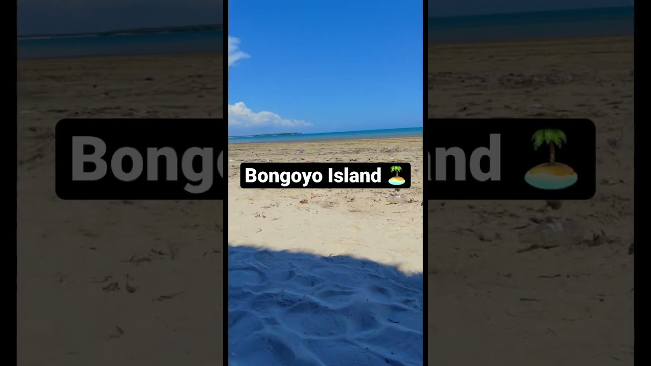 Bongoyo Island 🏝 vibes #shorts #zanzibar #tanzania
