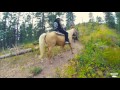 Papa Roach horseback riding in Black Hills South Dakota