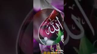 خواتم مباركه عليكم//ا((للهم بلغنا ليله القدر يارب العالمين))((حالات واتس اب قرانيه))