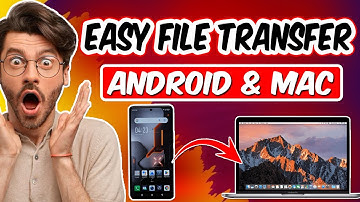 The Best Way to Transfer Files from Android to Mac (2025 Tutorial)