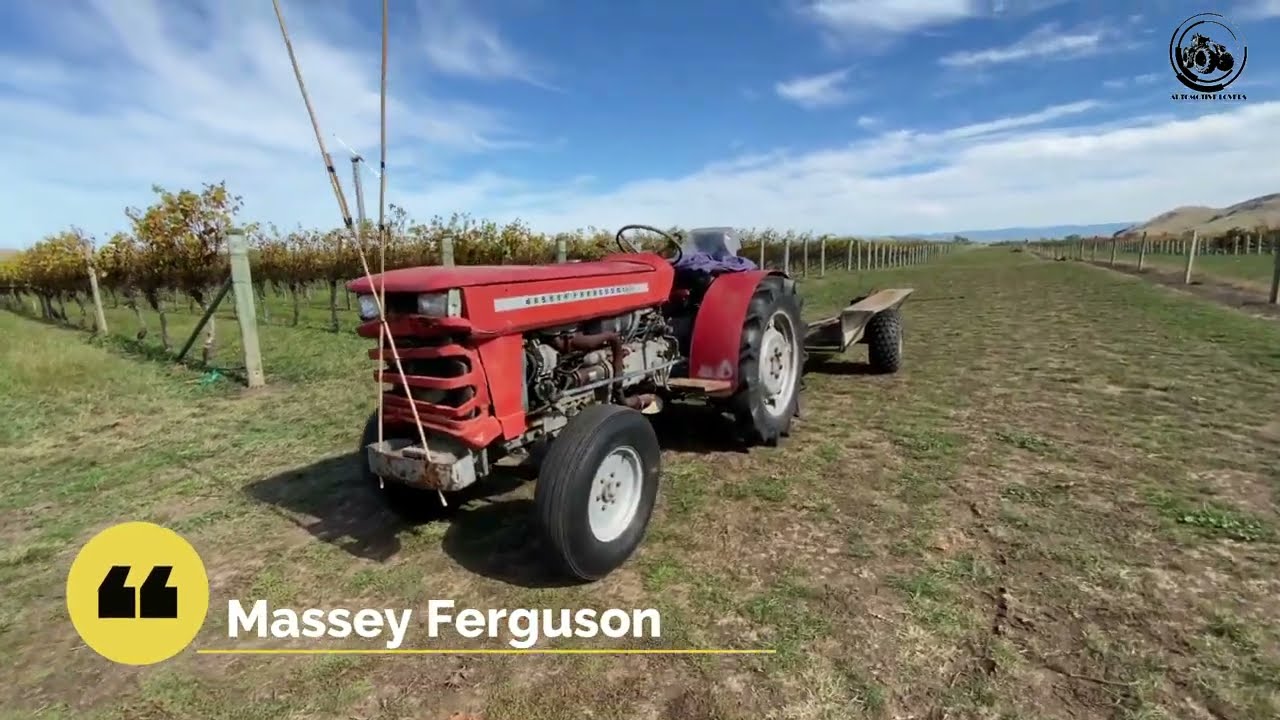 Vineyard Maintenance Hastings new Zealand