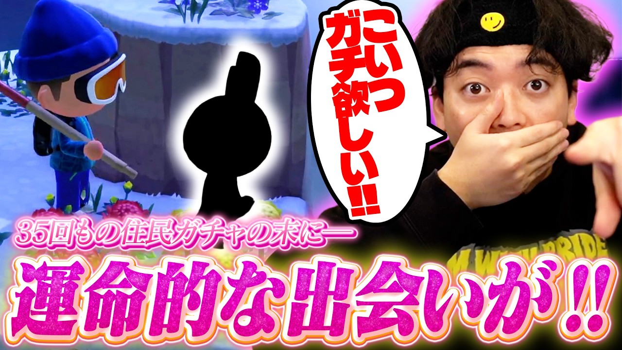 【ボド森#19後編】35回もの住民ガチャの末、運命的な出会いを果たし大興奮のボドカ【あつまれ どうぶつの森】