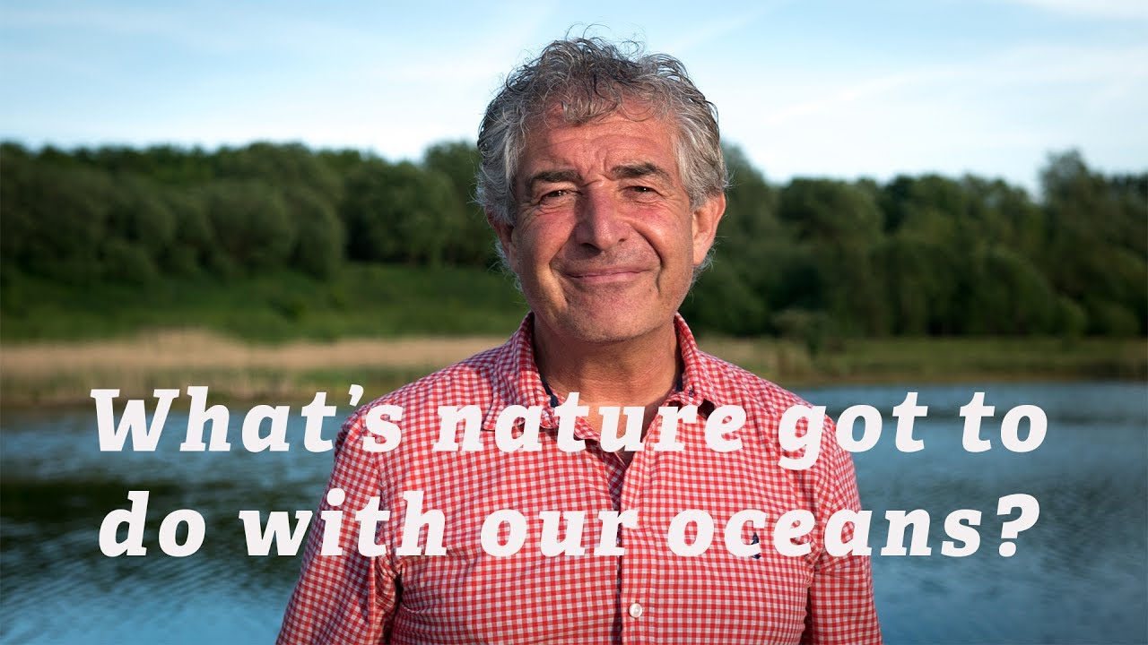 living proof What's nature got to do with our oceans?