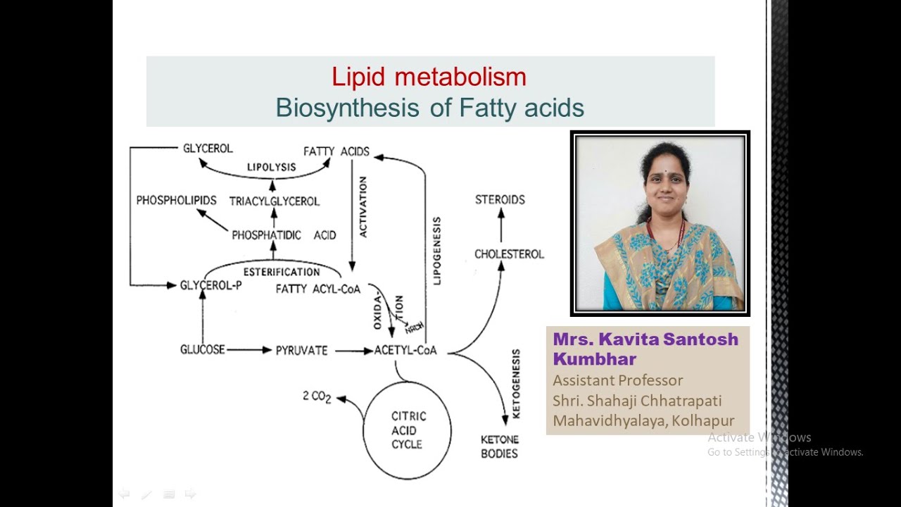 B.Sc. II Biosynthesis of Fatty acids. - YouTube