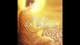 201410 佛陀讲法是为了我们听懂31002