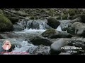 تلاوات خاشعة 7 سورة المعارج الشيخ محمد المحيسني Surat Al Ma Arij تلاوات خاشعة 7 سورة المعارج الشيخ محمد المحيسني Surat Al Ma Arij