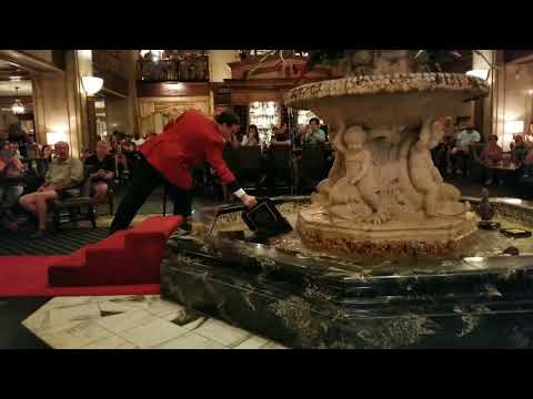 Video: Peabody Ducks Peabody hotellis Memphises