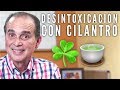 Episodio #1490 Desintoxicación Con Cilantro