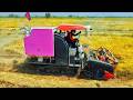 From Field to Collection: The Rice Harvesting Process with Reaper Machines