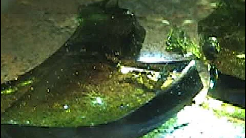 FRESNEL LENS SUN COLLECTOR MELTING GLASS SOLAR POWERED FOUNDRY