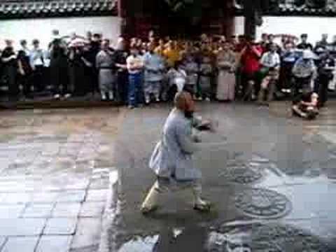 Shaolin Temple - "7 Star Fist" Monk form