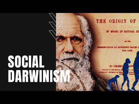 Video: Wat het sosiale darwiniste geargumenteer?