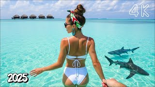 Relaxing Deep House Mix 2025 🏖️ Tropical Chill Summer Vibes with Vocals | Deep Blue Beats Music