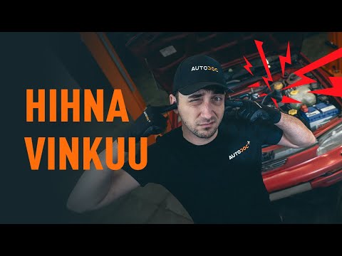 Mitä tehdä jos hihna vinkuu | AUTODOCin vinkit