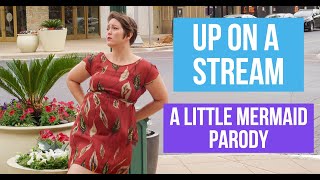 Up on A Stream | Parody of Part of Your World  (Little Mermaid)