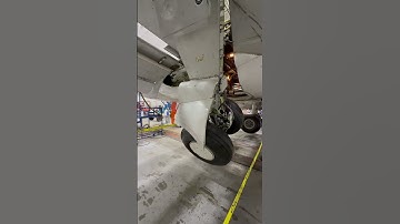 IMPRESSIVE Landing Gear Deployment On B737