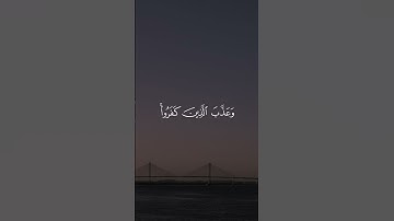سورة التوبة 26 | عبدالرحمن مسعد [قراءة 2025]