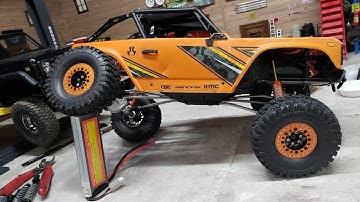 Desert Lizard/Semi Droop