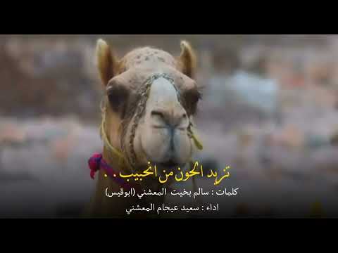 وياد كلمات سالم بخيت المعشني ابوقيس اداء سعيد عيجام المعشني